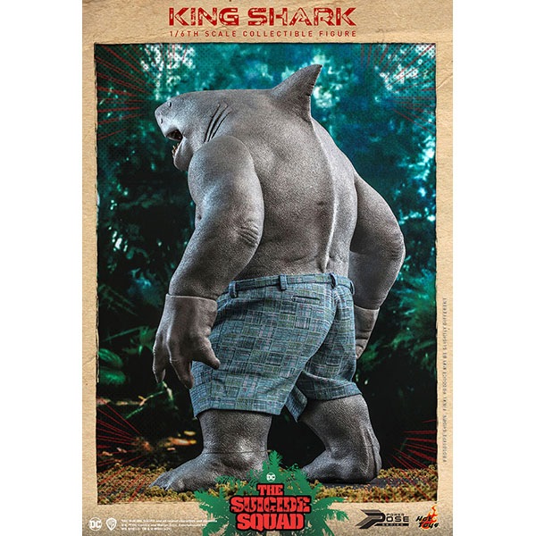 ɡåɡɶˡɰޡ롡ѥݡ1/6Ưե奢󥰡㡼 ͽ