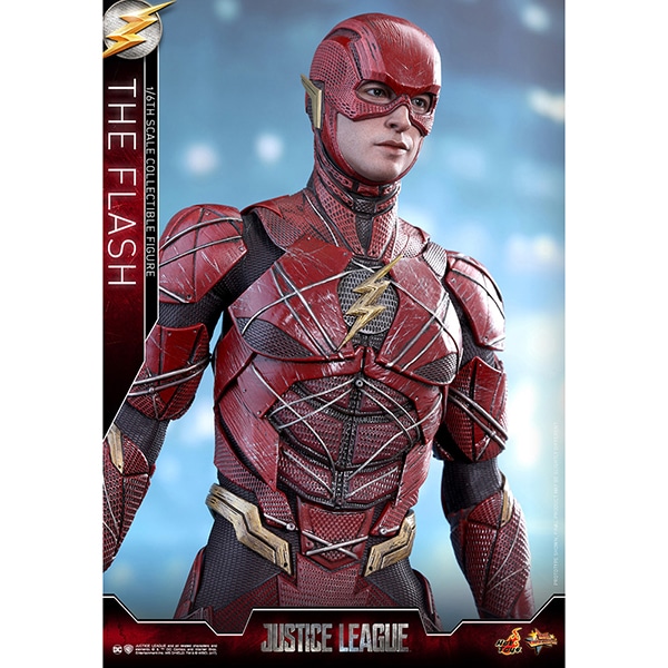 ���㥹�ƥ������꡼�����ࡼ�ӡ����ޥ������ԡ���1/6��������ե����奢���ե�å��� ͽ��