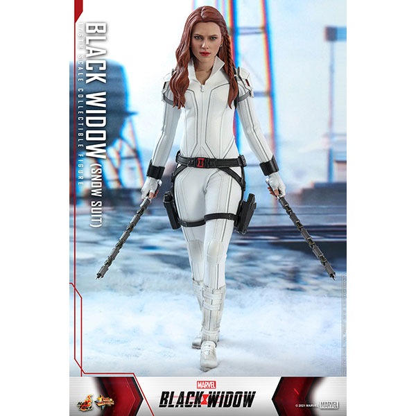 ֥åɥࡼӡޥԡ1/6ե奢֥åɥʥΡǡˡͽ