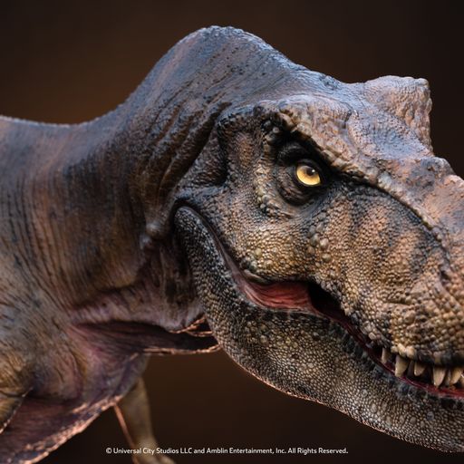 ڥȥå/ʸԲ/Ѥ/͢Ȣ᡼ͭۥ饷åѡ1/12 ޥåȡƥΥ륹å