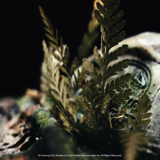 ڥȥå/ʸԲ/Ѥ/͢Ȣ᡼ͭۥ饷åѡ1/12 ޥåȡƥΥ륹å