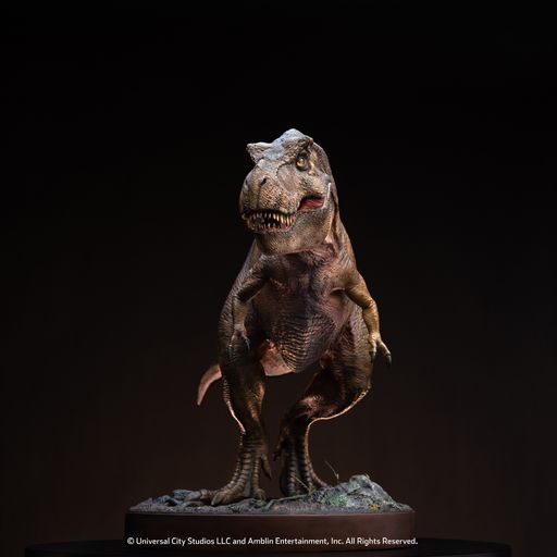 ڥȥå/ʸԲ/Ѥ/͢Ȣ᡼ͭۥ饷åѡ1/12 ޥåȡƥΥ륹å