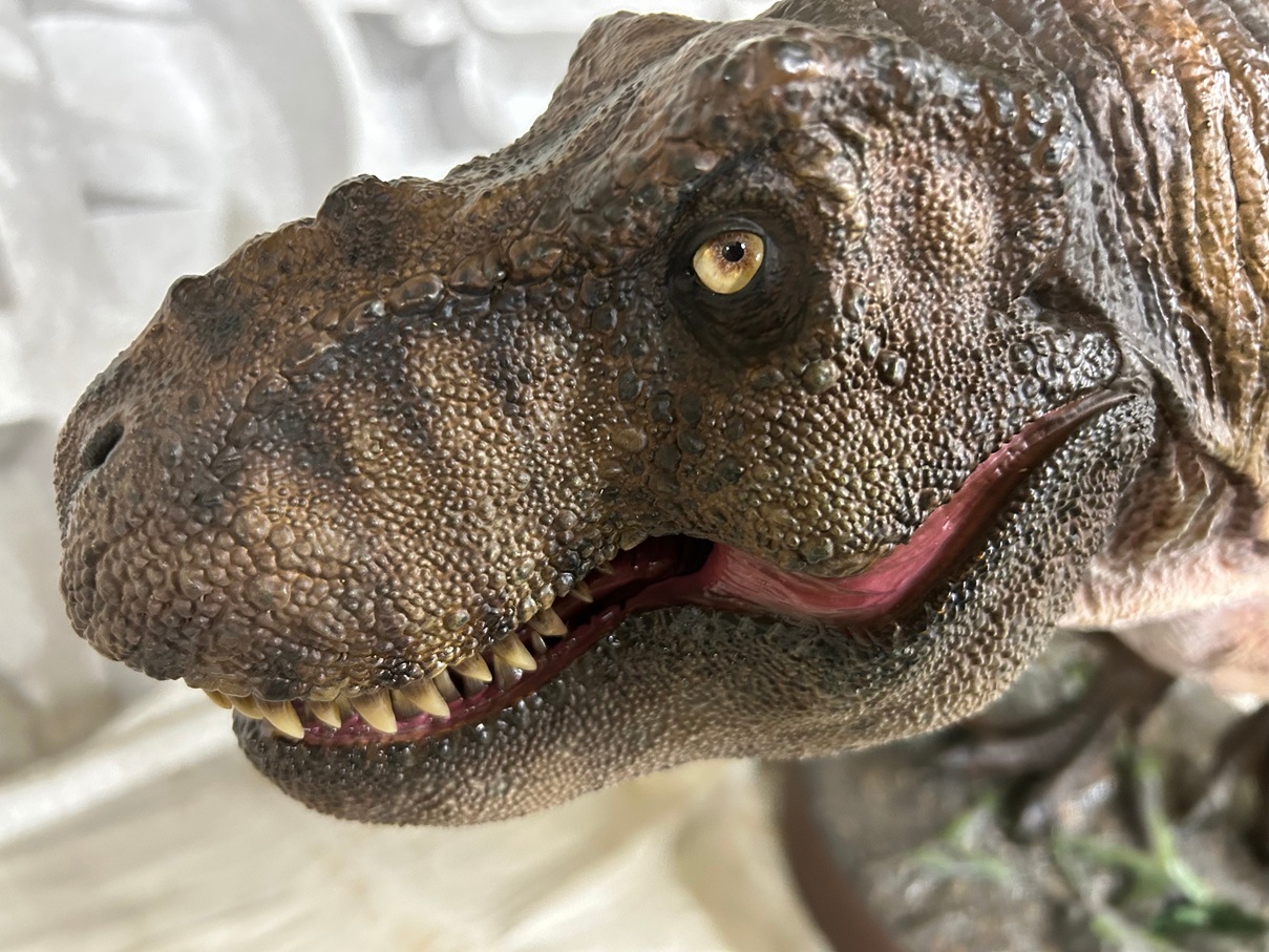 ڥȥå/ʸԲ/Ѥ/͢Ȣ᡼ͭۥ饷åѡ1/12 ޥåȡƥΥ륹å