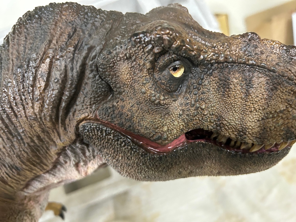 ڥȥå/ʸԲ/Ѥ/͢Ȣ᡼ͭۥ饷åѡ1/12 ޥåȡƥΥ륹å