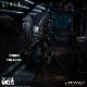 MDS �ǥ����ʡ����꡼��/ ALIEN: �����ꥢ�� �ӥå�����å� DX 6����� ���������ե����奢��ͽ��