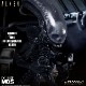 MDS �ǥ����ʡ����꡼��/ ALIEN: �����ꥢ�� �ӥå�����å� DX 6����� ���������ե����奢��ͽ��