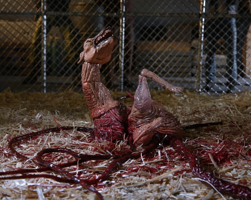 ͷʪX The Thing/ ʪX ɥå ǥå ƥå 7 ե奢  ͽ