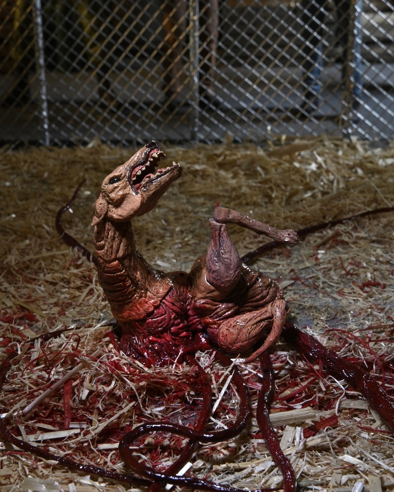 ͷʪX The Thing/ ʪX ɥå ǥå ƥå 7 ե奢  ͽ