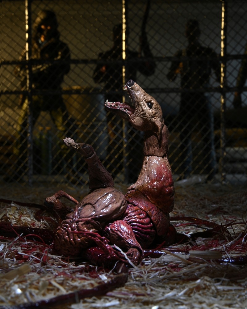 ͷʪX The Thing/ ʪX ɥå ǥå ƥå 7 ե奢  ͽ