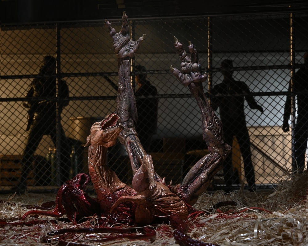 ͷʪX The Thing/ ʪX ɥå ǥå ƥå 7 ե奢  ͽ