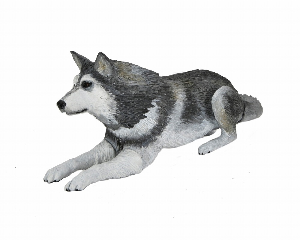 ͷʪX The Thing/ ʪX ɥå ǥå ƥå 7 ե奢  ͽ