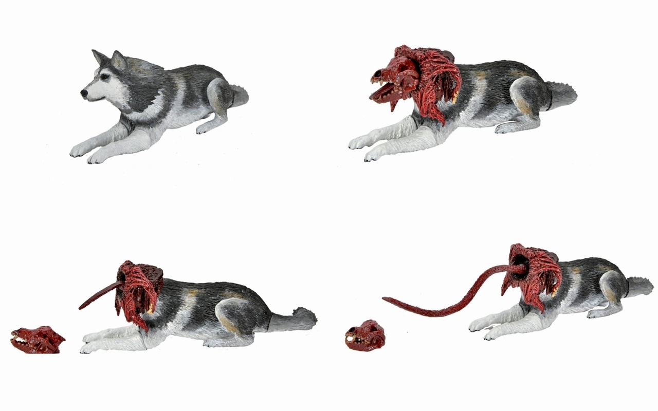 ͷʪX The Thing/ ʪX ɥå ǥå ƥå 7 ե奢  ͽ