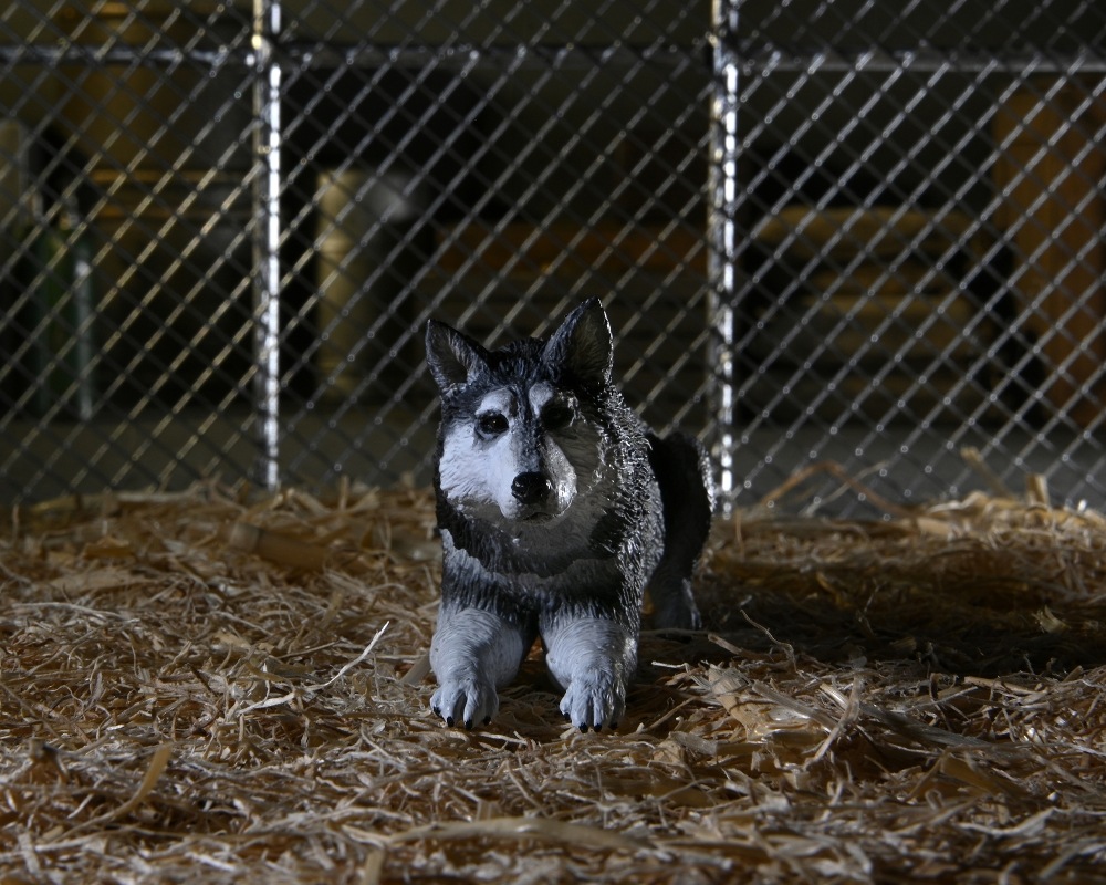 ͷʪX The Thing/ ʪX ɥå ǥå ƥå 7 ե奢  ͽ