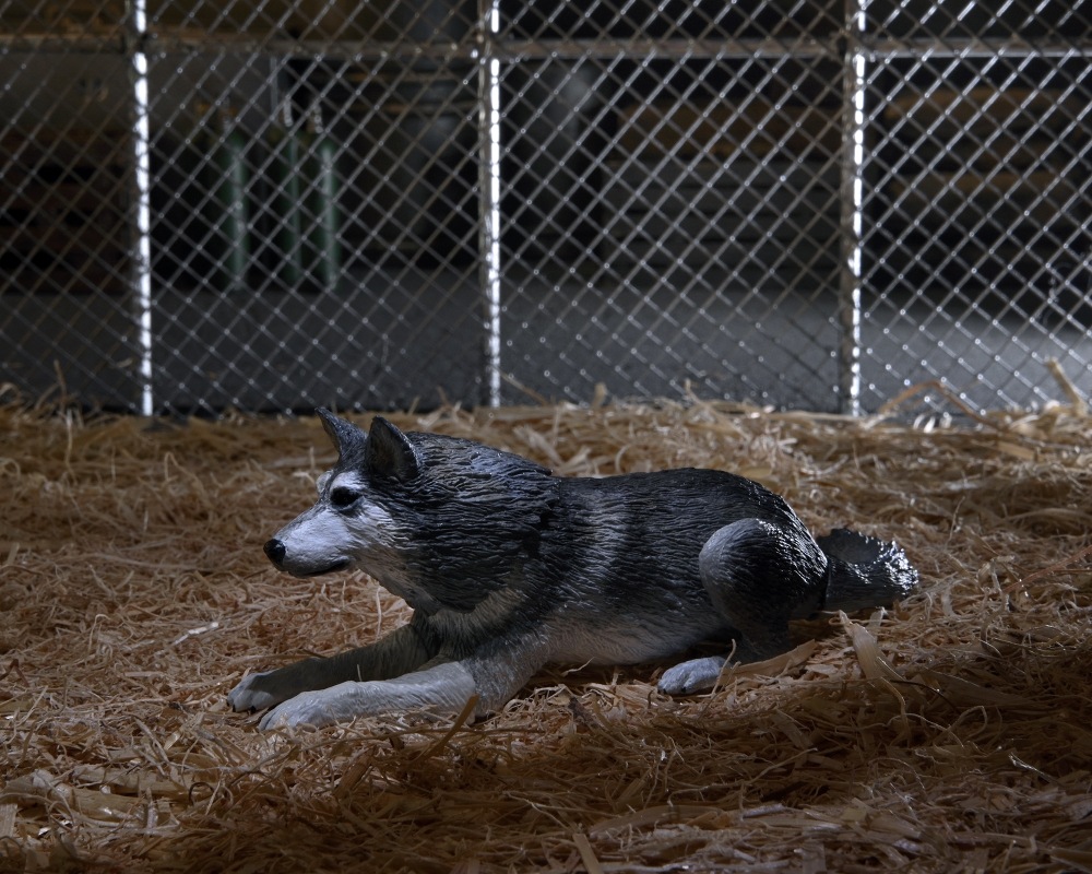 ͷʪX The Thing/ ʪX ɥå ǥå ƥå 7 ե奢  ͽ