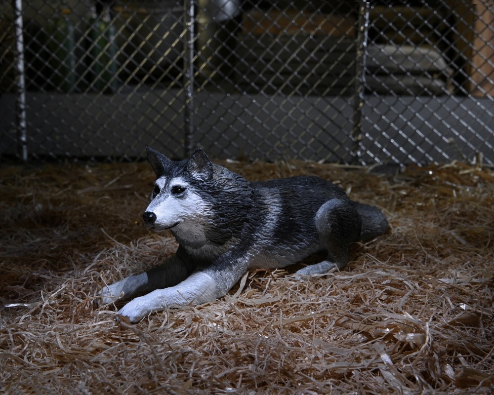 ͷʪX The Thing/ ʪX ɥå ǥå ƥå 7 ե奢  ͽ