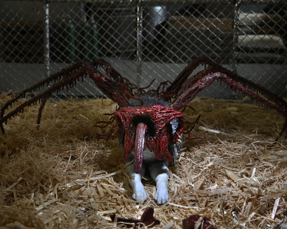 ͷʪX The Thing/ ʪX ɥå ǥå ƥå 7 ե奢  ͽ