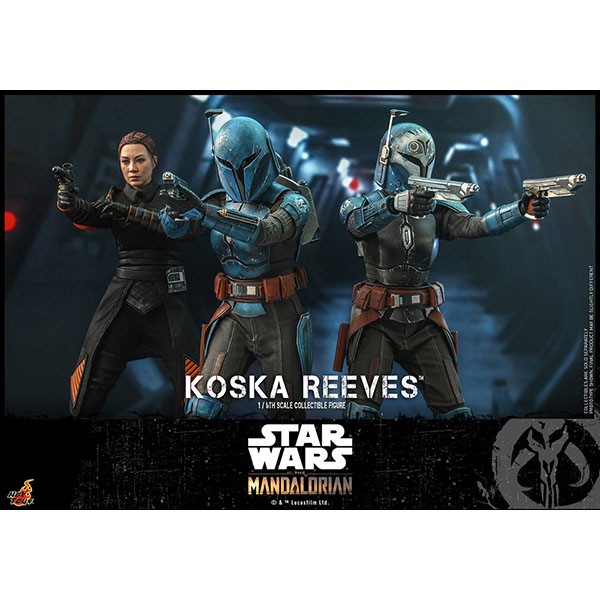 ޥꥢ󡡥ƥӡޥԡ/ե奢꡼ͽ