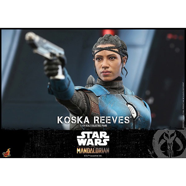 ޥꥢ󡡥ƥӡޥԡ/ե奢꡼ͽ