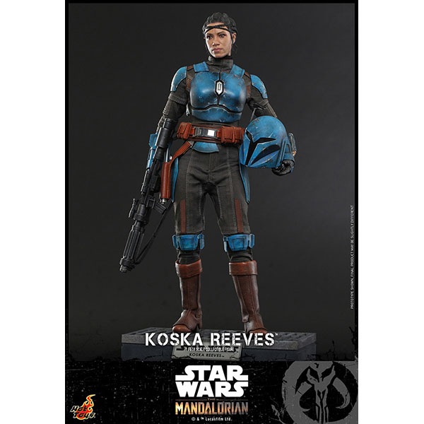 ޥꥢ󡡥ƥӡޥԡ/ե奢꡼ͽ