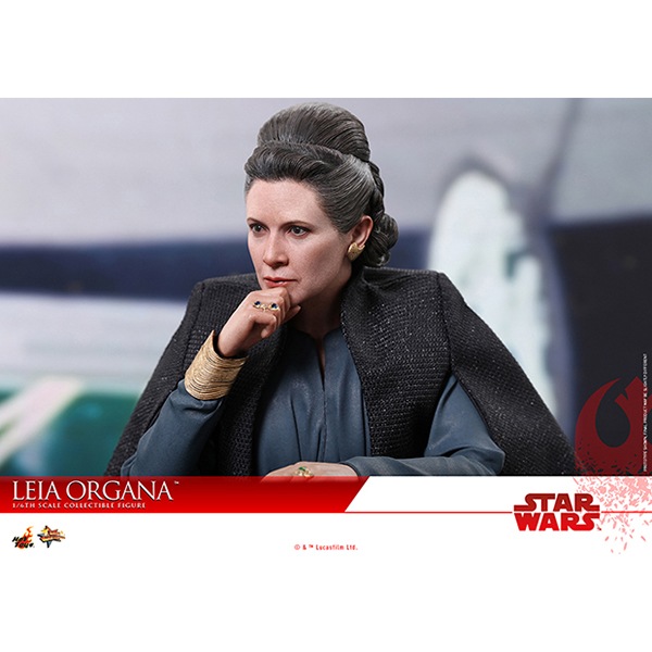 ����������������/�Ǹ�Υ����������ࡼ�ӡ����ޥ������ԡ���1/6��������ե����奢 �쥤������������ ͽ��