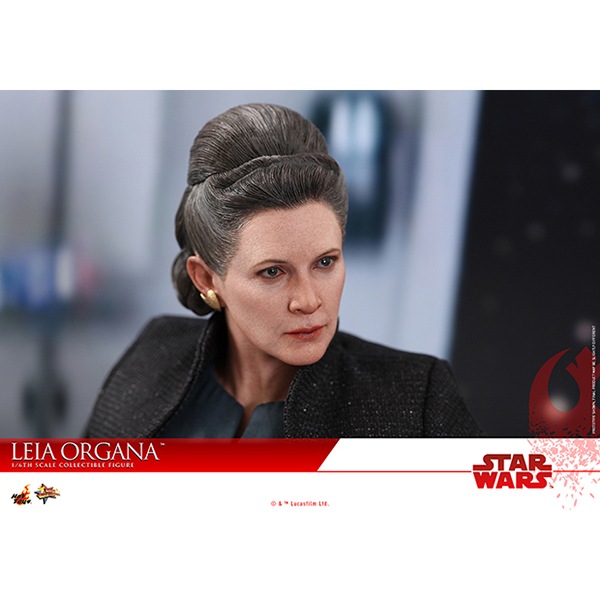 ����������������/�Ǹ�Υ����������ࡼ�ӡ����ޥ������ԡ���1/6��������ե����奢 �쥤������������ ͽ��