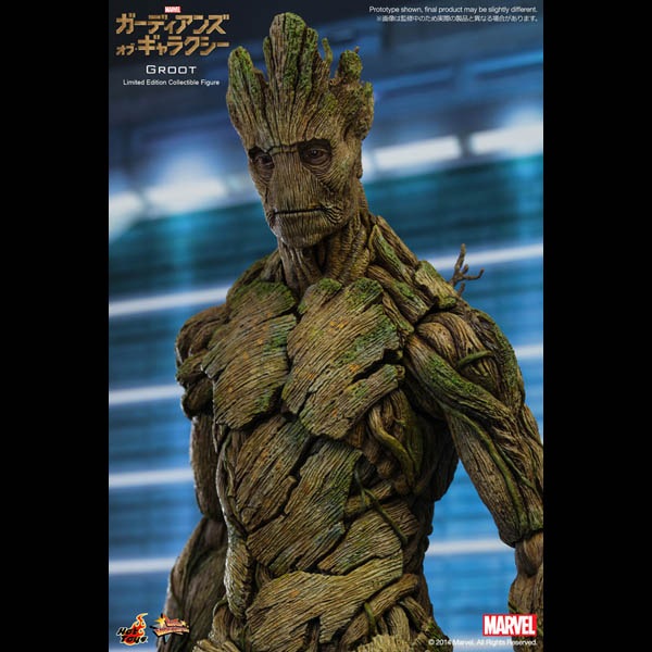 ǥ󥺡֡饯ࡼӡޥԡ1/6ե奢롼ȡͽ11352