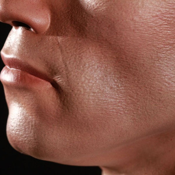 ߥ͡ư/˥1/2롡ХȡT-800Ρ᡼ǡ12636