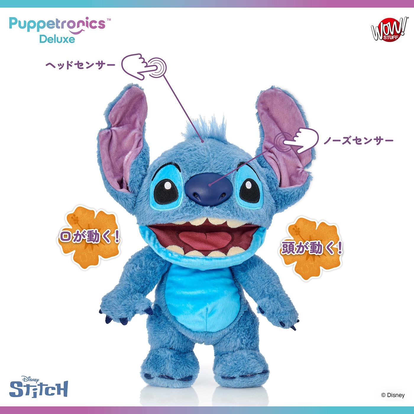 ǥˡ ƥå ѥڥåȥ˥ǥå٤ꥹƥåͽ