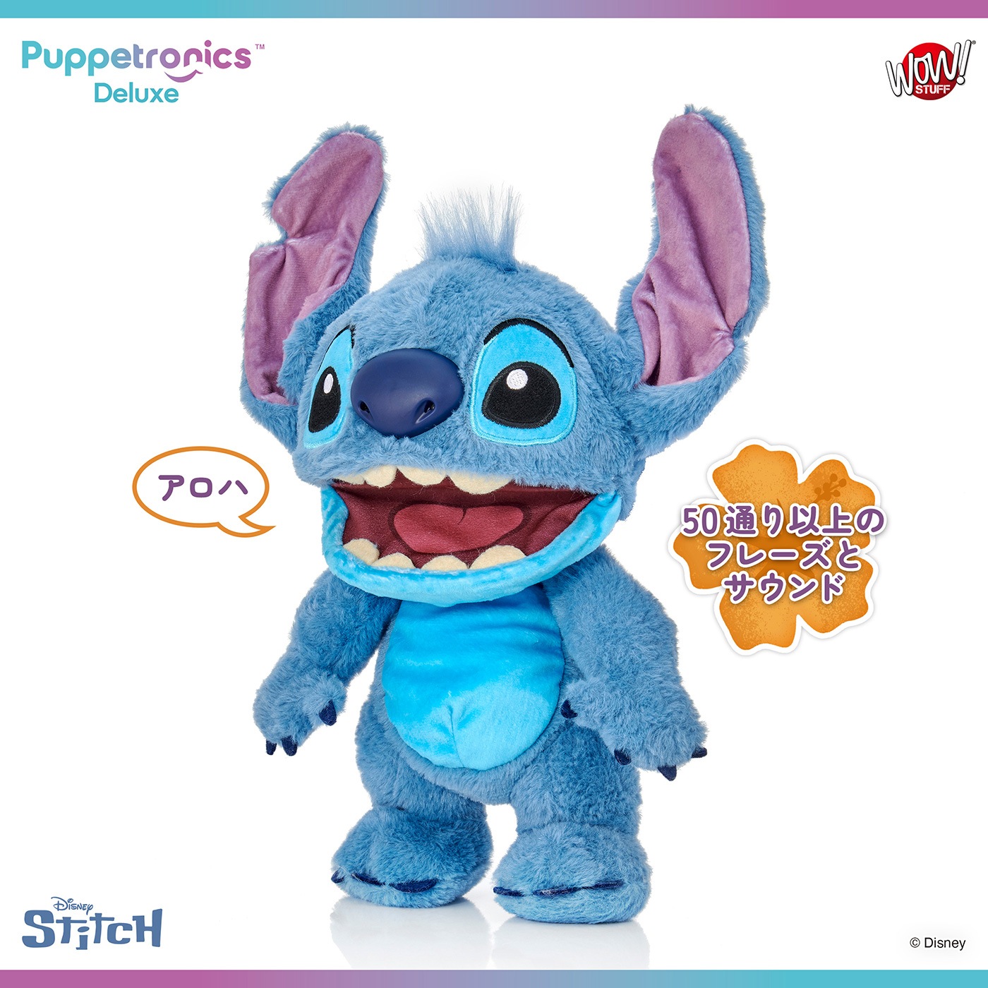 ǥˡ ƥå ѥڥåȥ˥ǥå٤ꥹƥåͽ