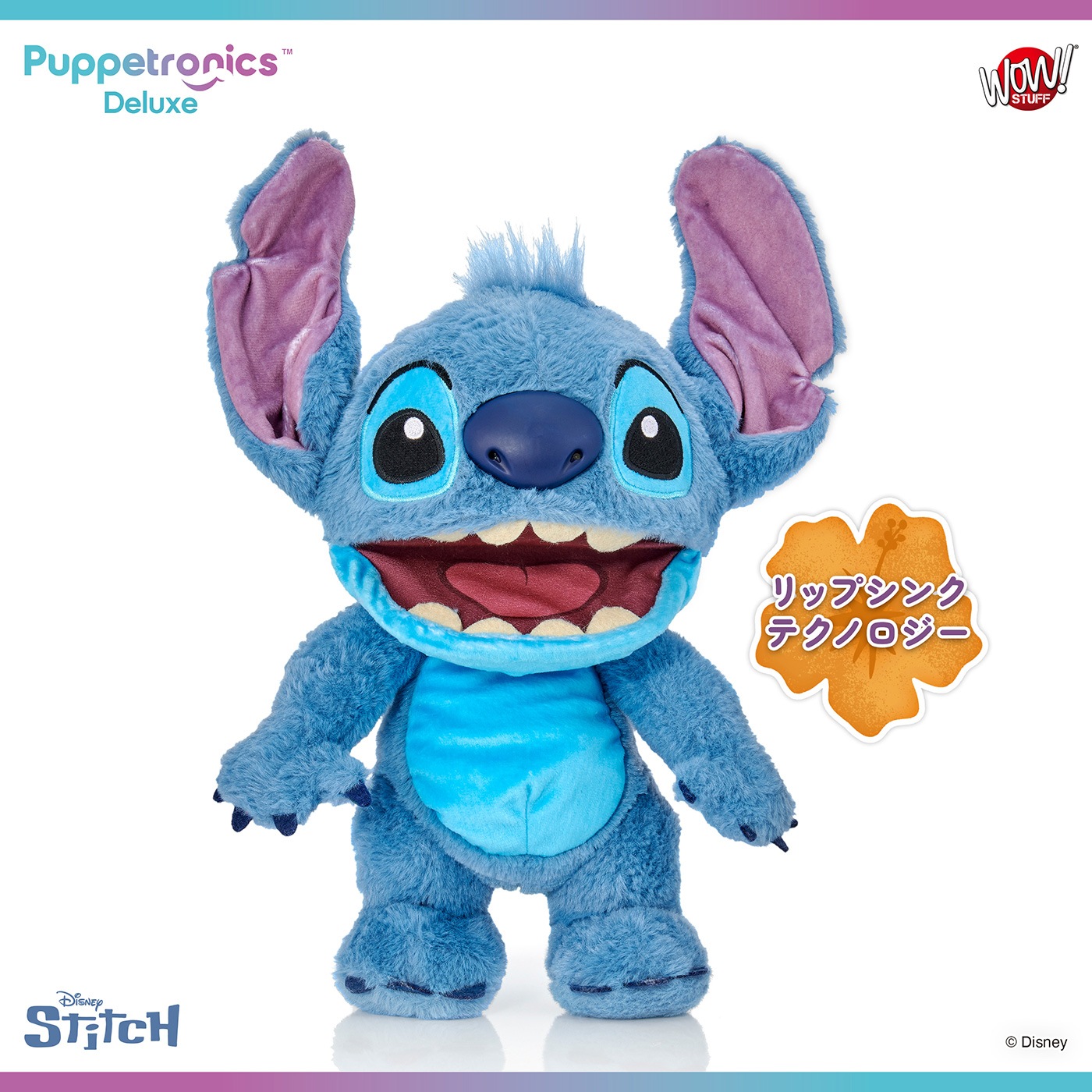 ǥˡ ƥå ѥڥåȥ˥ǥå٤ꥹƥåͽ