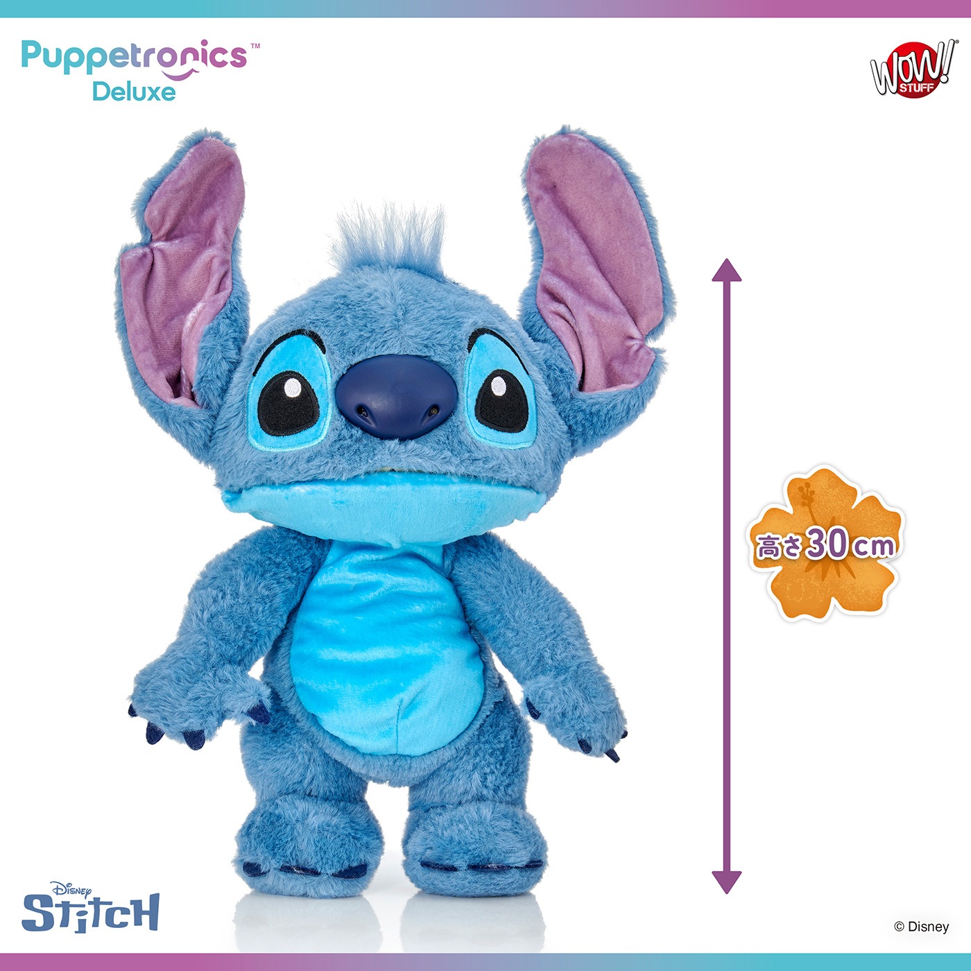 ǥˡ ƥå ѥڥåȥ˥ǥå٤ꥹƥåͽ