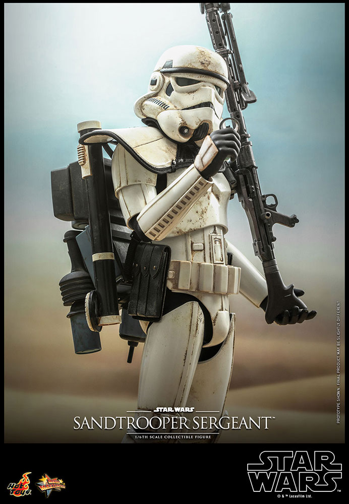 ԥɣ/ʤ˾ࡼӡޥԡ1/6ե奢ɥȥ롼ѡ()ͽ