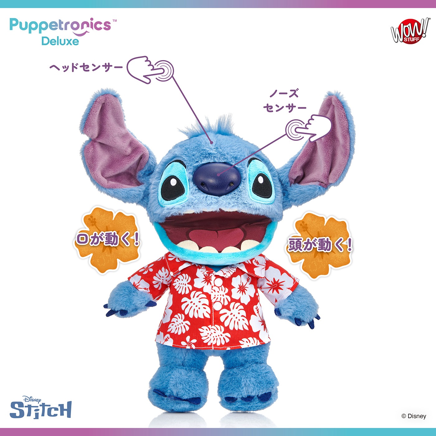 ǥˡ ƥåѥڥåȥ˥ǥå٤ꥹƥå(ϥ磻)ͽ