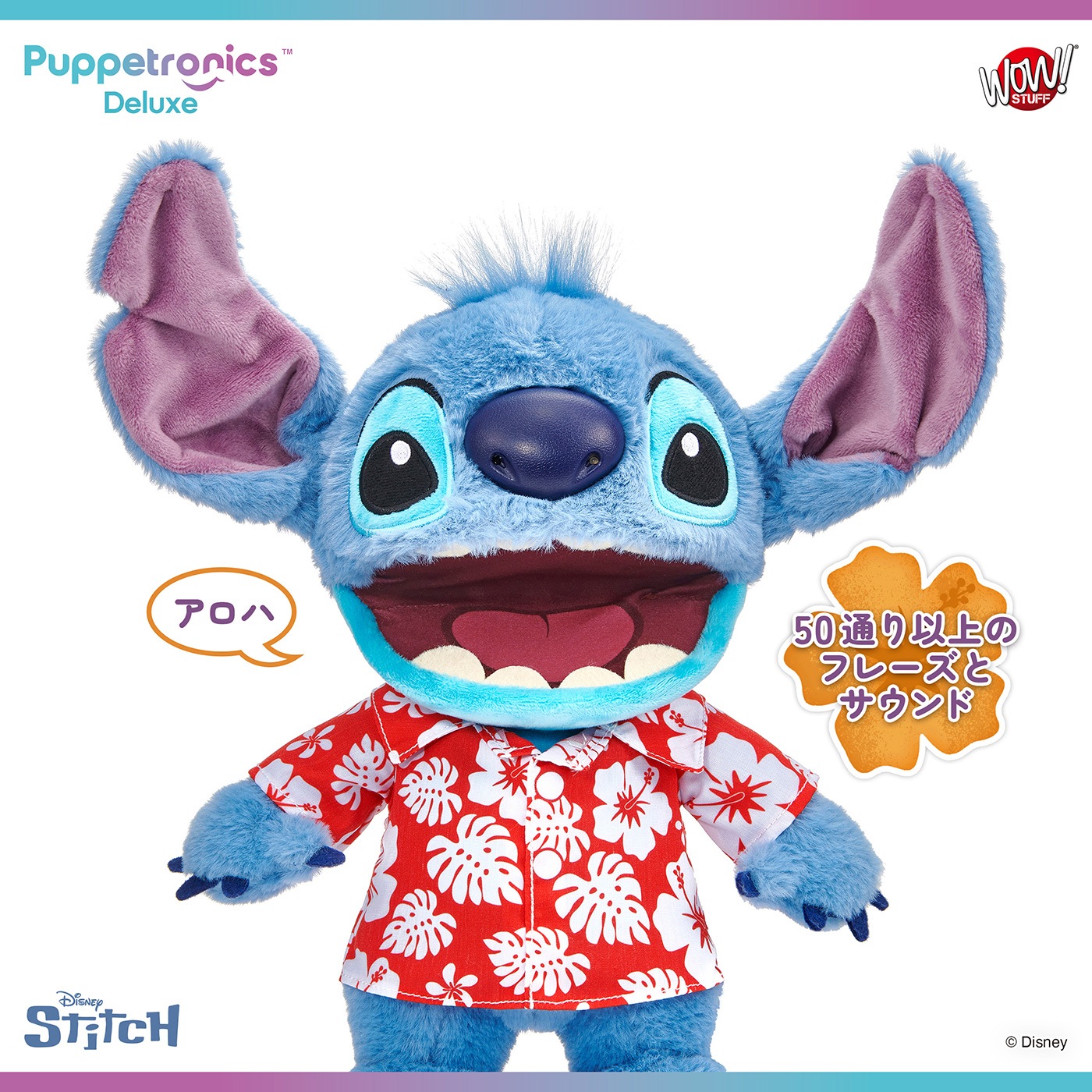 ǥˡ ƥåѥڥåȥ˥ǥå٤ꥹƥå(ϥ磻)ͽ