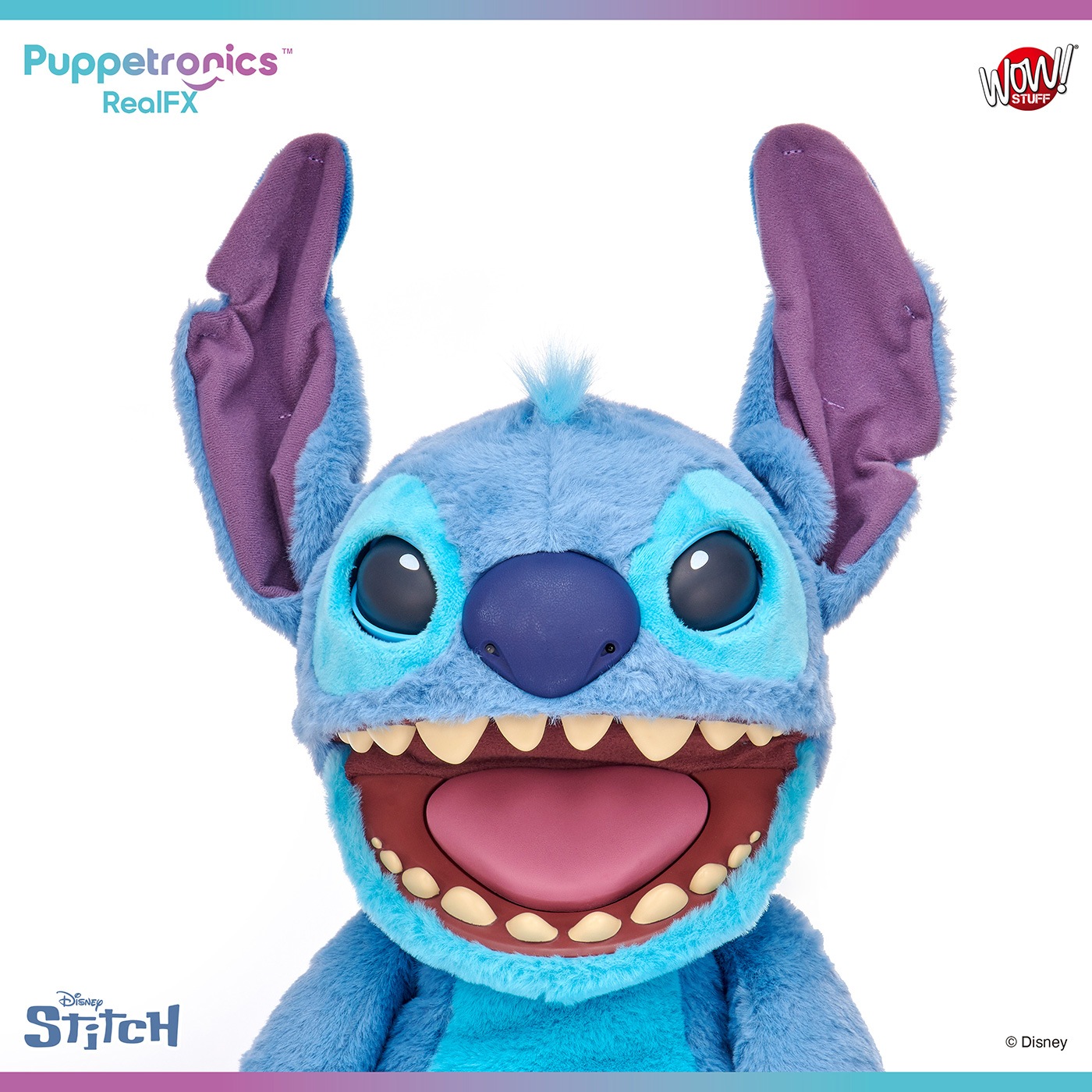 ǥˡ ƥåѥڥåȥ˥ꥢFXƥåͽ