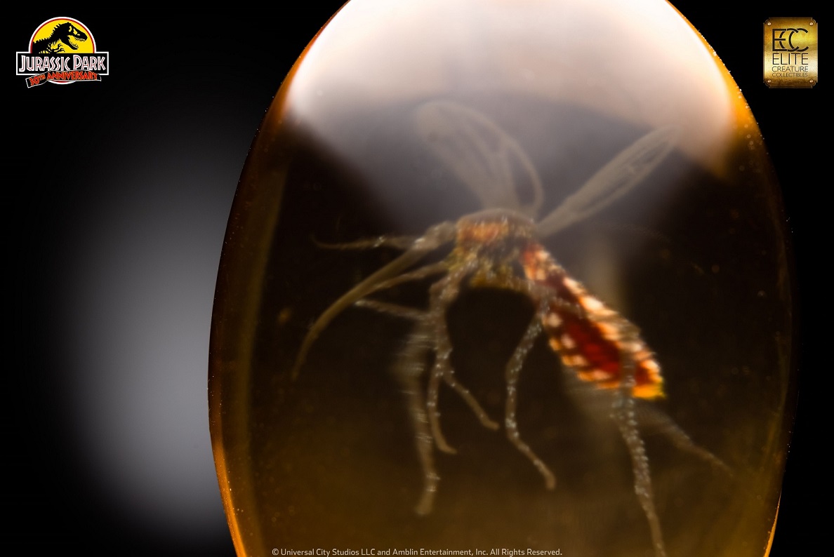 ����饷�å����ѡ�����1/1��������ץ��åץ�ץꥫ���⥹�����ȡ����󡦥���С���ͽ��