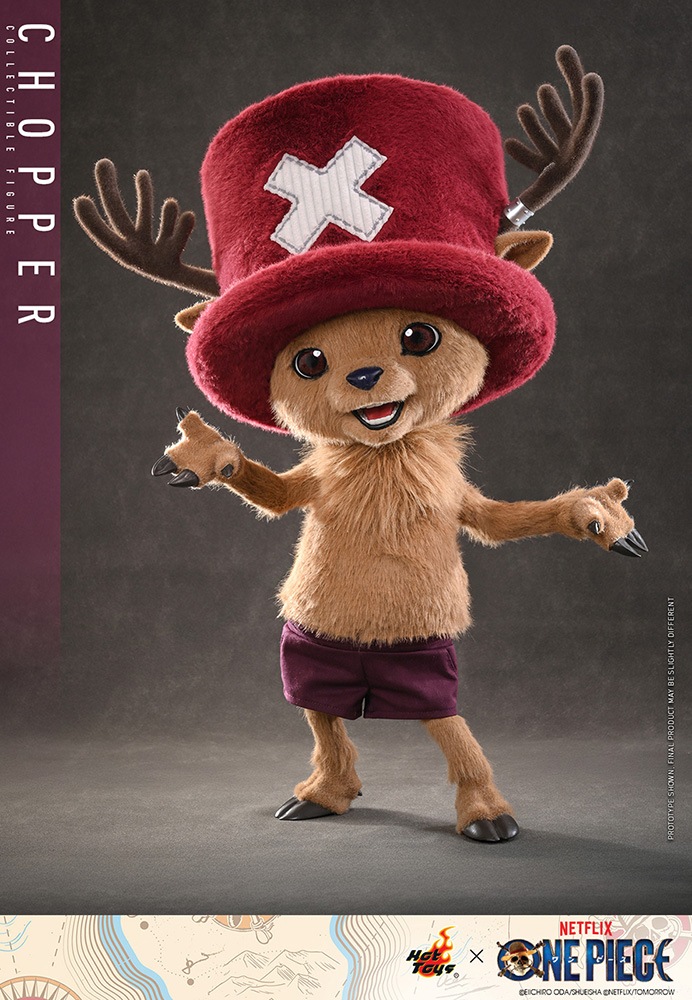 �ƥ�ӥޥ������ԡ��� Netflix���꡼���¼��� ONE PIECE ��������2�����쥯�ƥ��֥�ե����奢������åѡ���ͽ��