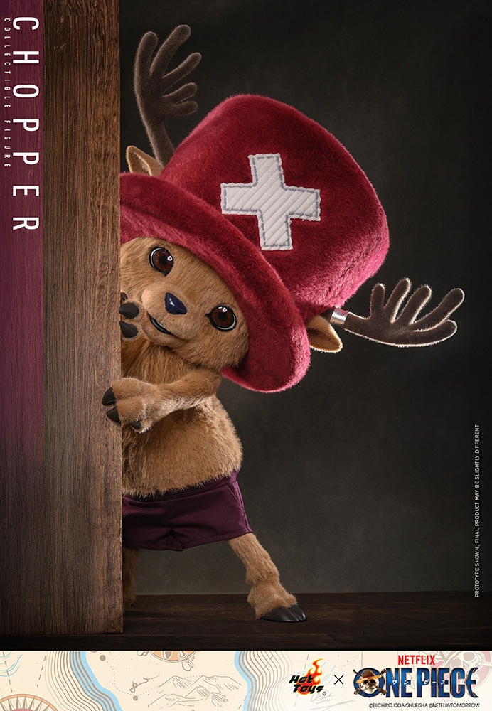 �ƥ�ӥޥ������ԡ��� Netflix���꡼���¼��� ONE PIECE ��������2�����쥯�ƥ��֥�ե����奢������åѡ���ͽ��