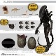 ���12���쥯�ƥ���/ ALIEN: �����ꥢ�� �ӥå�����å� 1/12 ���������ե����奢��ͽ��