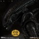 ���12���쥯�ƥ���/ ALIEN: �����ꥢ�� �ӥå�����å� 1/12 ���������ե����奢��ͽ��