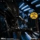 ���12���쥯�ƥ���/ ALIEN: �����ꥢ�� �ӥå�����å� 1/12 ���������ե����奢��ͽ��