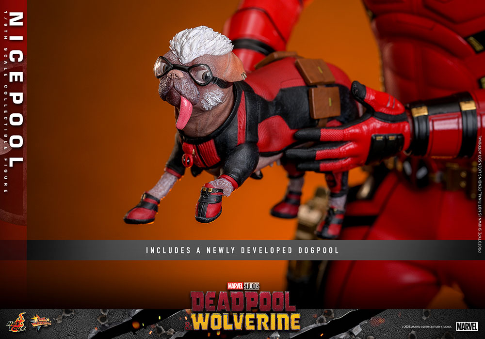 ǥåɥס ࡼӡޥԡ 1/6ե奢ʥס롡ͽ