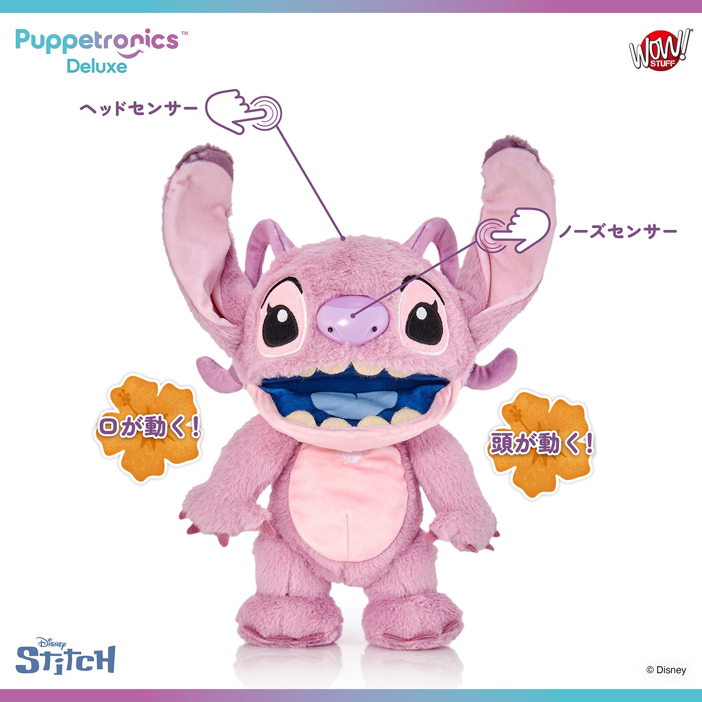 ǥˡ ƥå ѥڥåȥ˥ǥå٤ꥨ󥸥롡ͽ