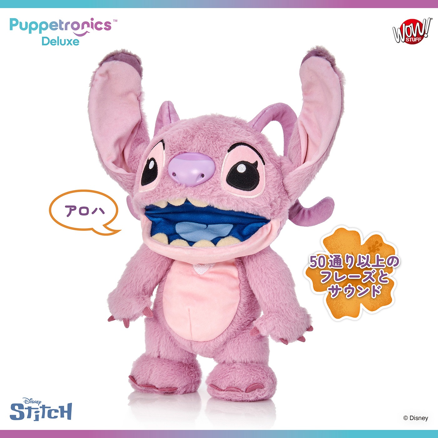 ǥˡ ƥå ѥڥåȥ˥ǥå٤ꥨ󥸥롡ͽ