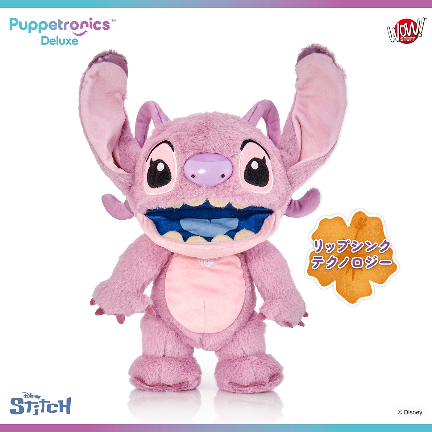 ǥˡ ƥå ѥڥåȥ˥ǥå٤ꥨ󥸥롡ͽ