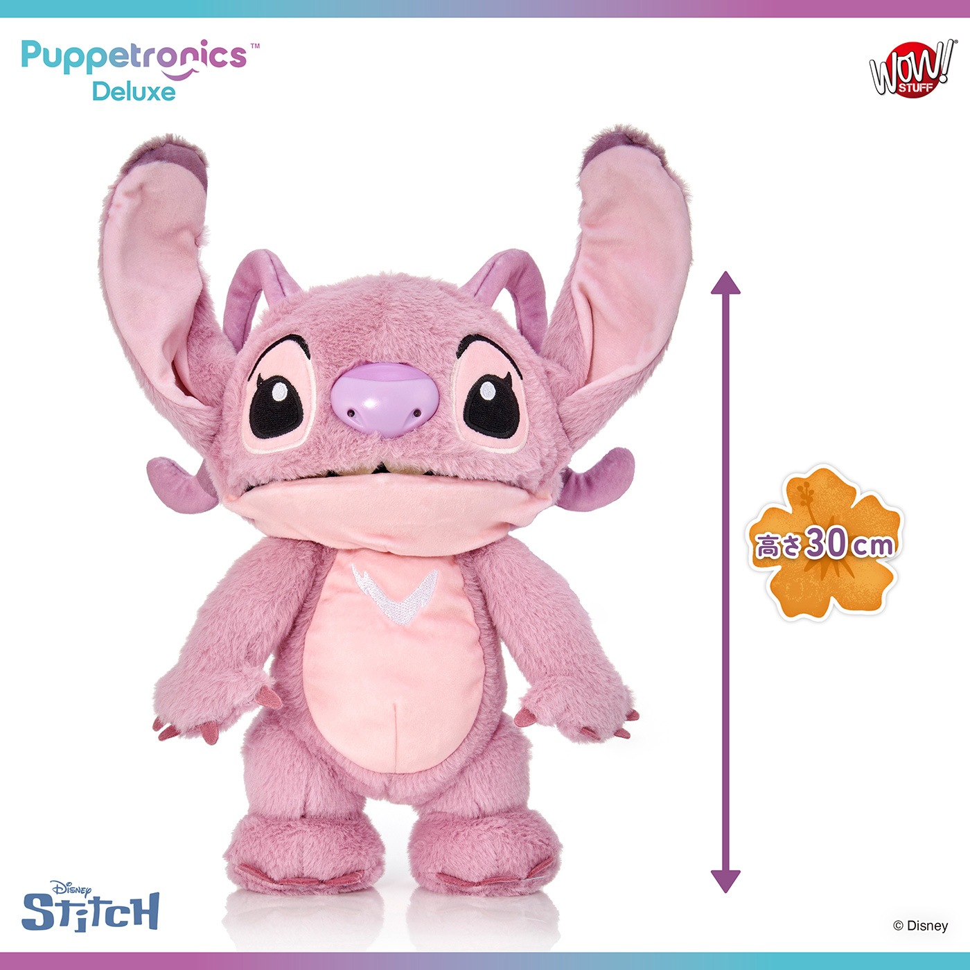 ǥˡ ƥå ѥڥåȥ˥ǥå٤ꥨ󥸥롡ͽ