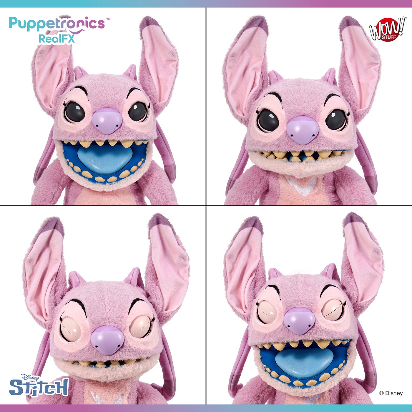 ǥˡ ƥåѥڥåȥ˥ꥢFX󥸥롡ͽ