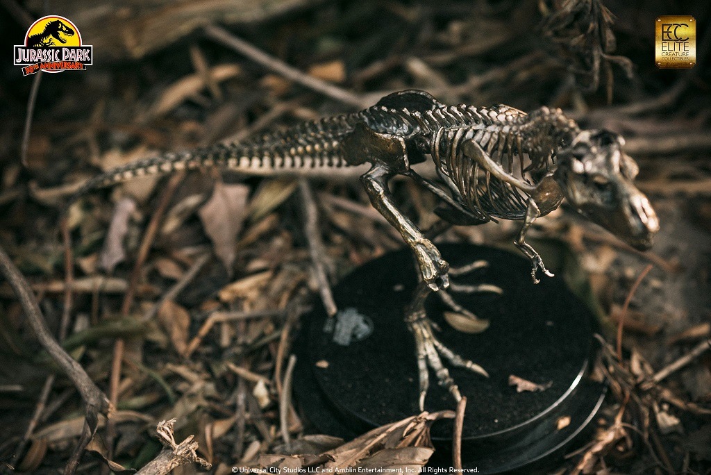 ����饷�å����ѡ�����1/24��������֥��󥺥������塼���ƥ���Υ����륹����å�����������ȥ�