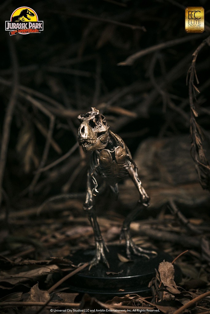 ����饷�å����ѡ�����1/24��������֥��󥺥������塼���ƥ���Υ����륹����å�����������ȥ�