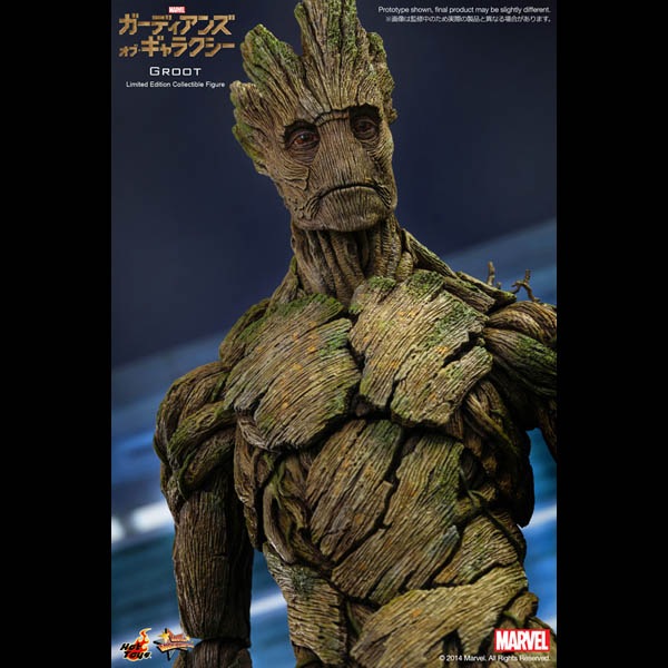 ǥ󥺡֡饯ࡼӡޥԡ1/6ե奢롼ȡͽ11352